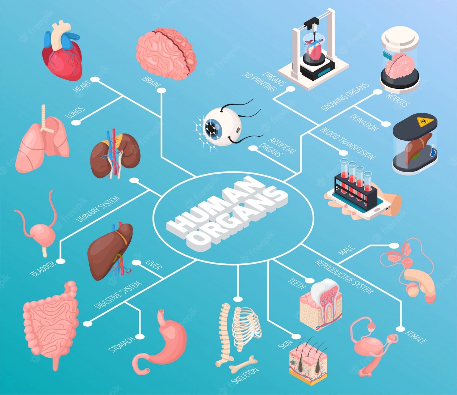 How Can 3D Imaging Improve Medical Imaging and Diagnoses 