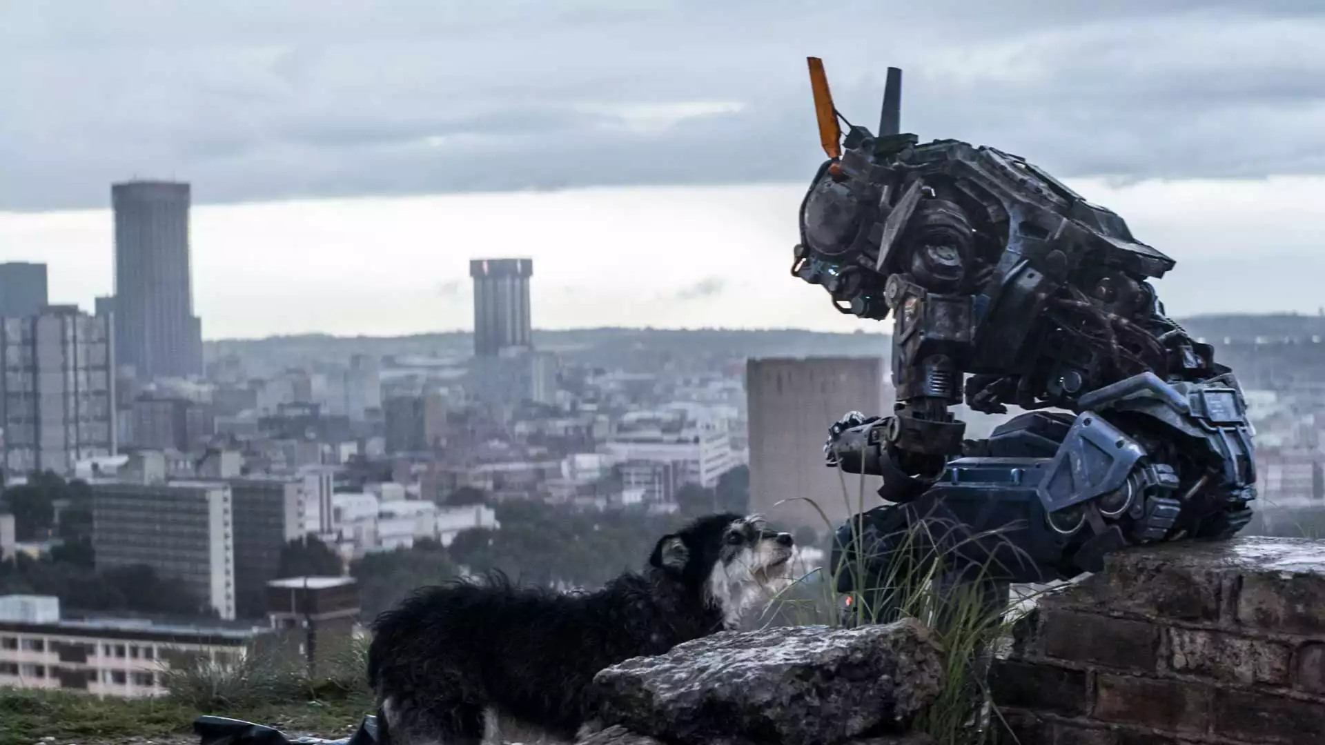 Chappie