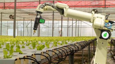 Agriculture Robot