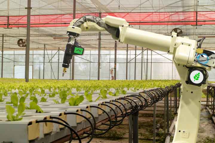 Agriculture Robot