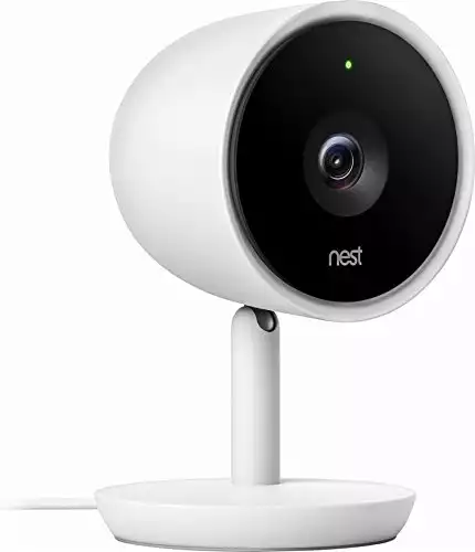 Nest Indoor Iq Cam With Char Mini