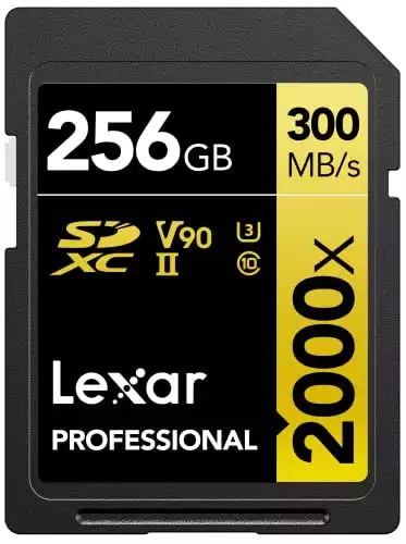 Lexar Professional 2000x 256GB SDXC