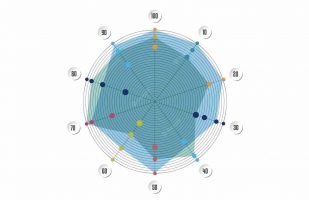 Introduction to Radial Bias Function Networks