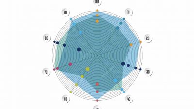 Introduction to Radial Bias Function Networks