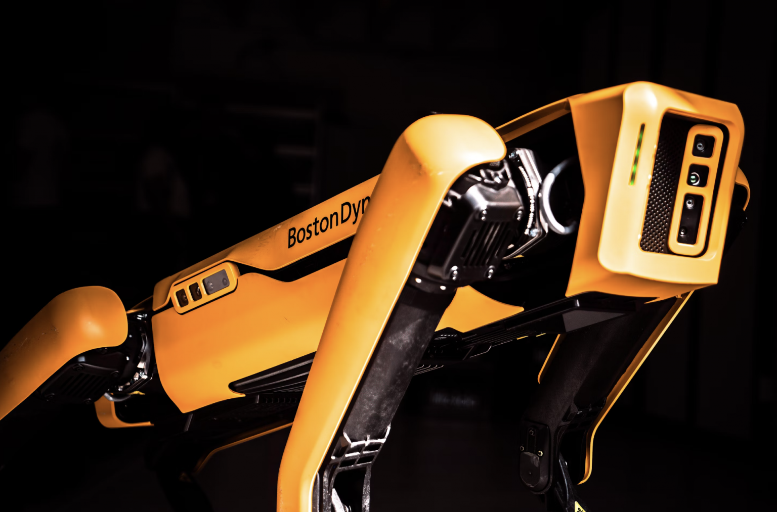 Robot Rell AI Powers Robot Dogs for Real-World Navigation - Artificial Intelligence