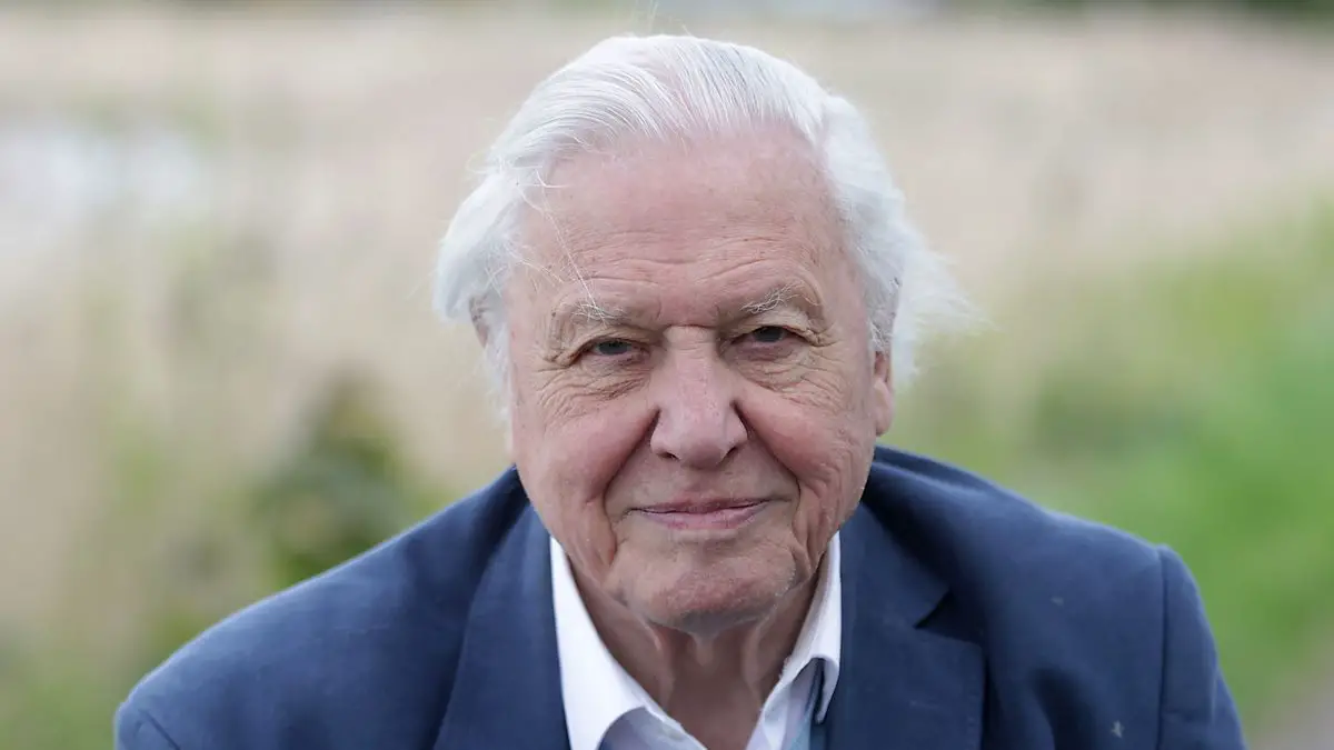 David Attenborough AI Clones Spark Outrage