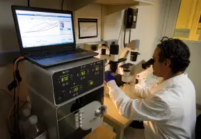 Role of AI in scientific research and discovery