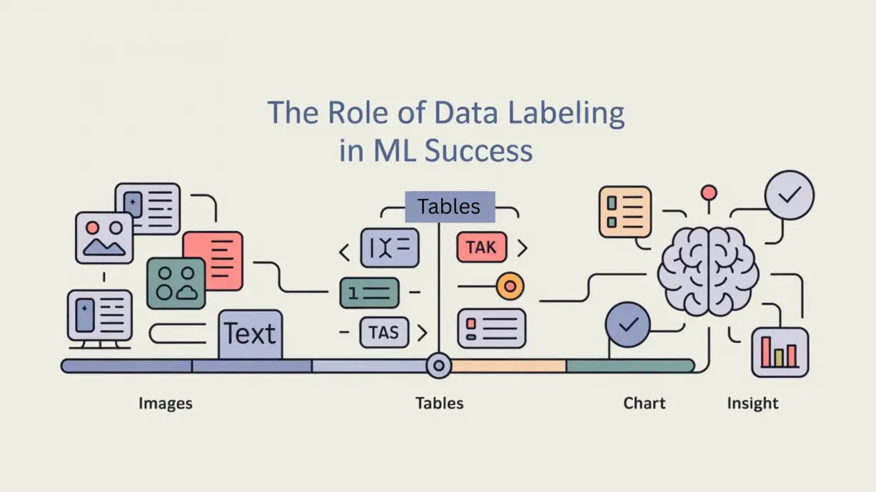 The Role of Data Labeling in the Success of Machine Learning Models