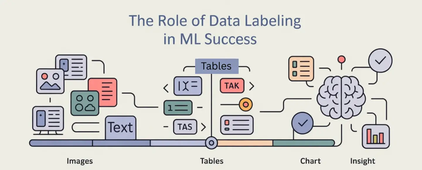How Data Labeling Drives the Performance of Machine Learning Models?