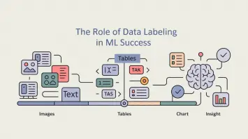 The Role of Data Labeling in the Success of Machine Learning Models