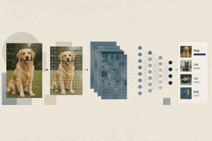 Image Recognition in AI- How It Works